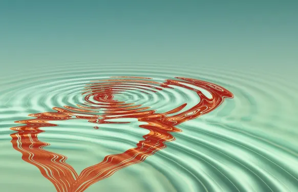 Rex Kaszinó Támogatás